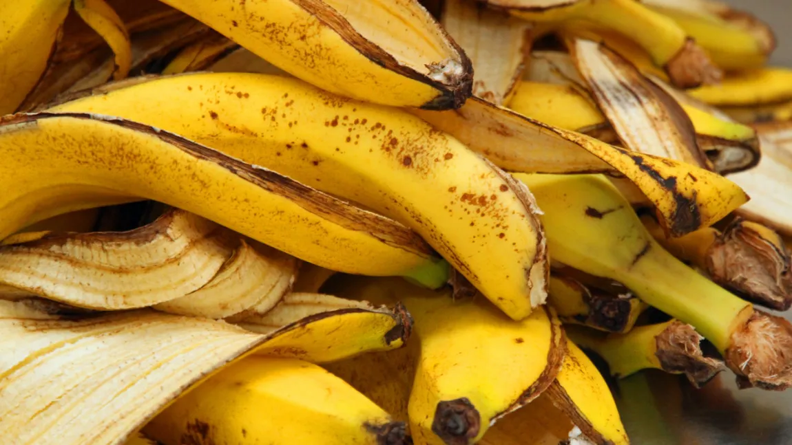 Cele 5 moduri în care poți folosi cojile de banană acasă. Puțini oameni cunosc acestre trucuri