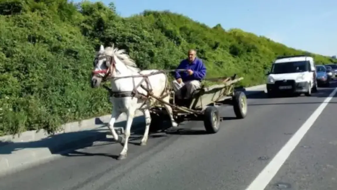 Cod Rutier 2025 Ce trebuie să ştie toţi şoferii, ai voie să depăşeşti o căruţă pe linie continuă? S-a schimbat legea!
