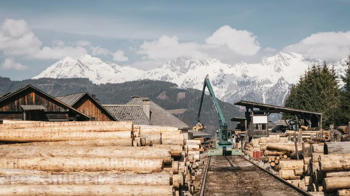 Falimentul unei cunoscute fabrici de cherestea din Austria. Datoriile totale ale fabricii se ridică la 1,4 milioane de euro