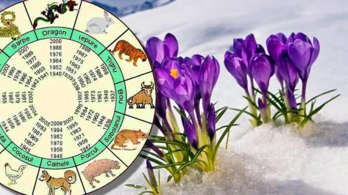 Zodiac CHINEZESC săptămâna 10-16 februarie 2025. Începutul săptămânii este de bun augur pentru împlinirea unor visuri mai vechi