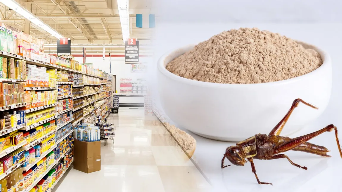 Cum identifici produsele din magazine care conțin insecte. Ingredientele sunt trecute pe etichetă, dar denumirea lor este codată