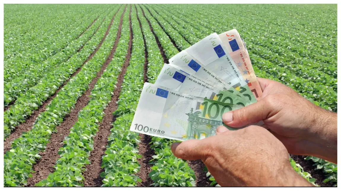200.000 de euro AJUTOR de la stat pentru o categorie importantă de români. Ce condiții trebuie să îndeplinească