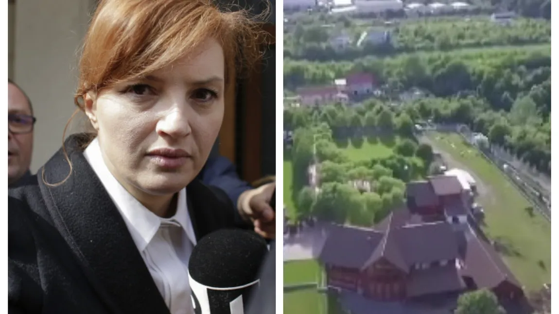 Așa arată vila de 1,5 milioane de euro a Ioanei Băsescu. Are piscină și garaj pentru șalupe
