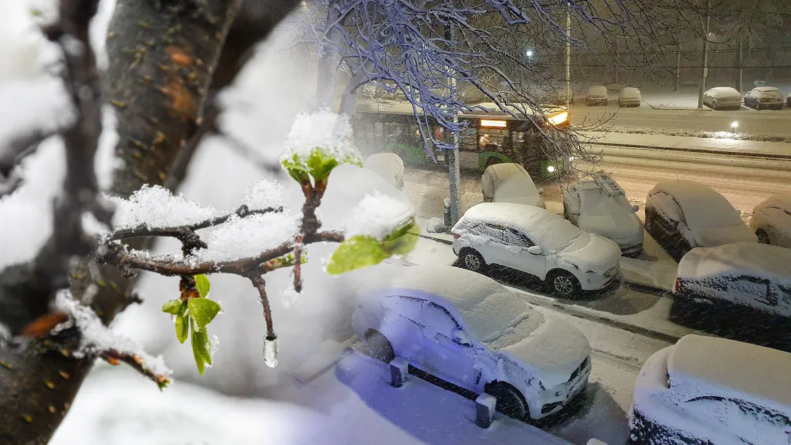 Primăvara aduce temperaturi scăzute și ninsori. Cum va fi vremea de Paște