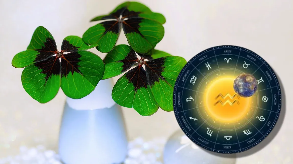 5 zodii care funcționează ca un talisman natural pentru cei din jur. Sunt bune de pus pe rană