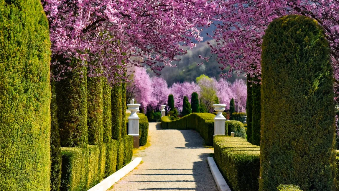 S-a deschis cea mai frumoasă grădină cu flori din România. Este un paradis în stil italian ce fură toate privirile