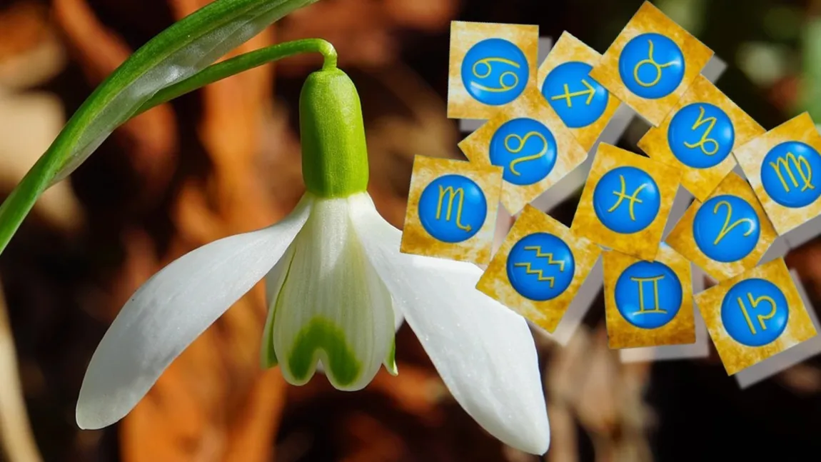 Horoscop 7 martie 2025. Apar oportunităţi pe care nu ar trebui să le ratezi