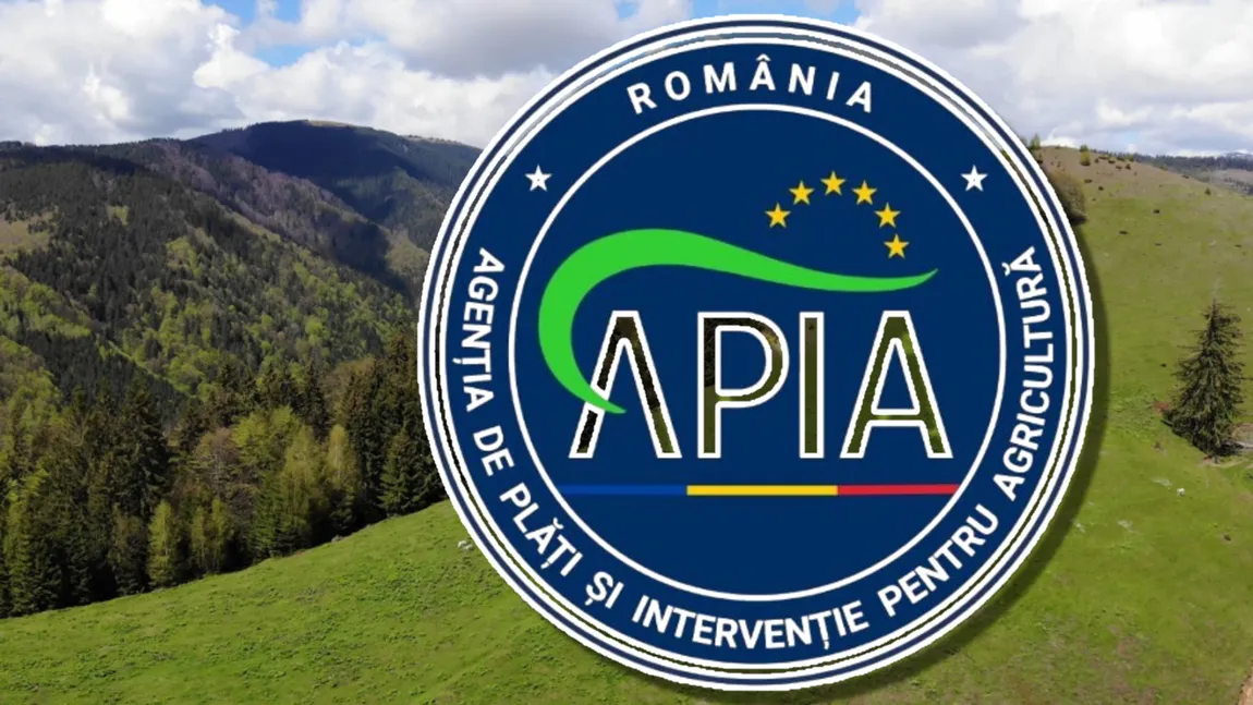 Se dau bani de la stat pentru acești români. Ajutor de minimum 650 de lei, 30 mai 2025 este ultima zi când trebuie să depui cererea