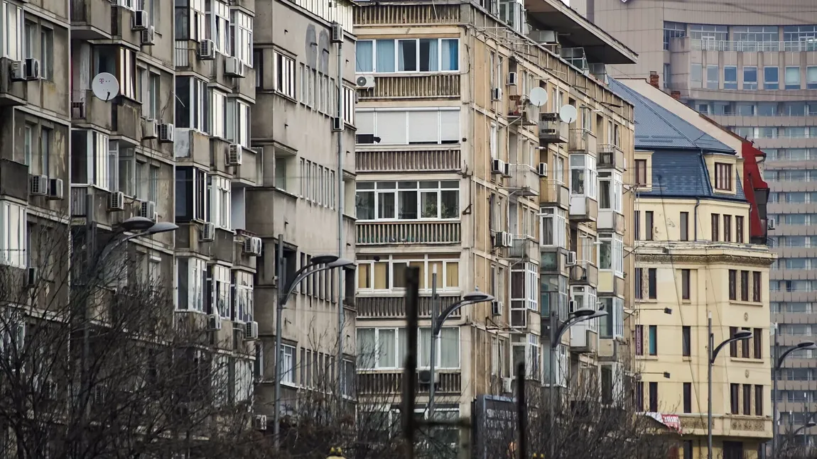 Cum arată vecinii ideali preferaţi de români în funcţie de vârstă şi de locuinţă. Principalele calităţi şi nemulţumiri SONDAJ