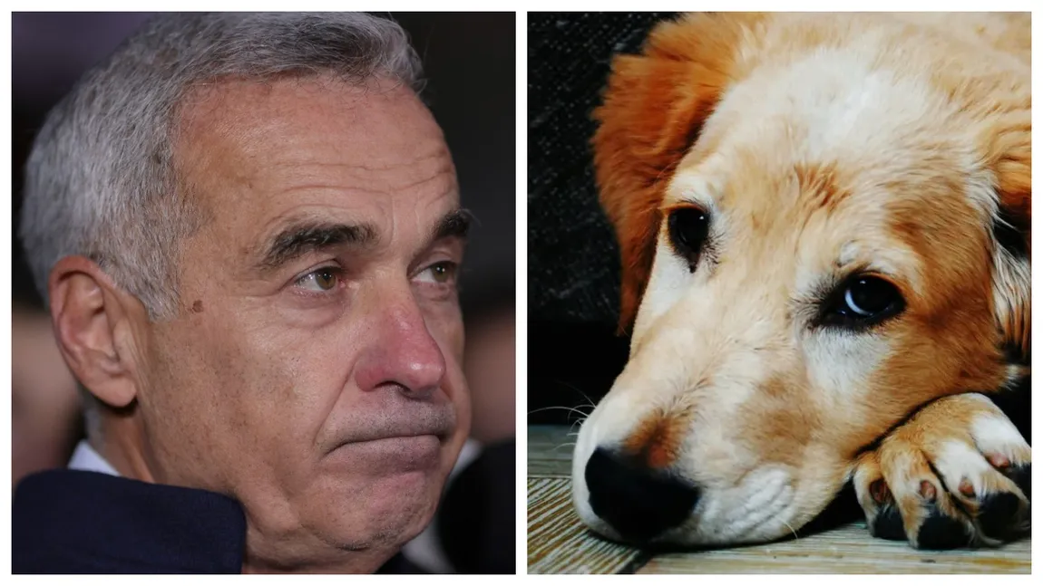 Călin Georgescu ar fi împușcat un câine în armată, de nervi. Dezvăluirile tulburătoare făcute de Cristian Sima