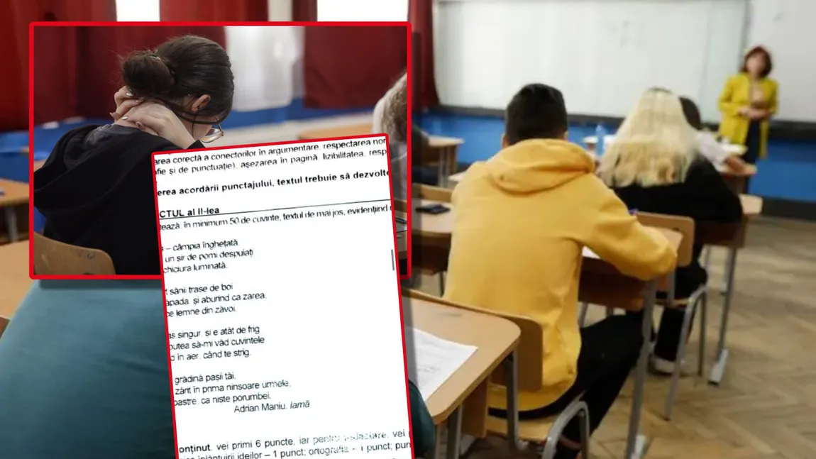 Gafa de la Simulare Bac 2025 la română care ar putea strica nota multor elevi. Elevii au aflat că ”Iarna” nu-i ca ”lama” și nici „Ion” nu e roman psihologic