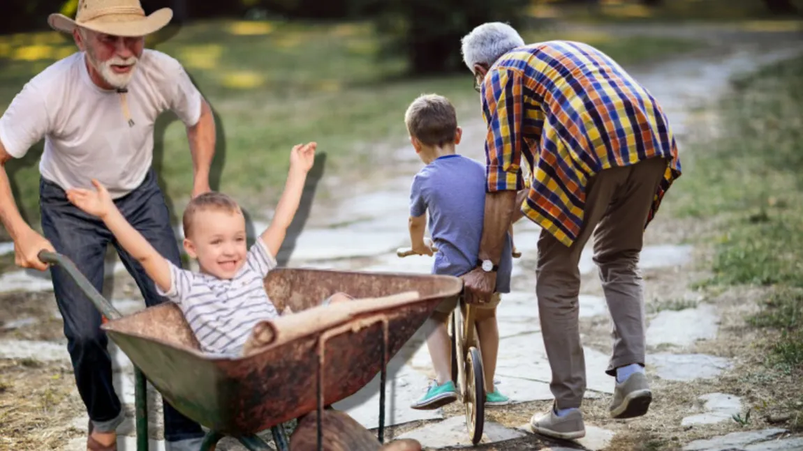 Apare un nou tip de pensie. Ce este 