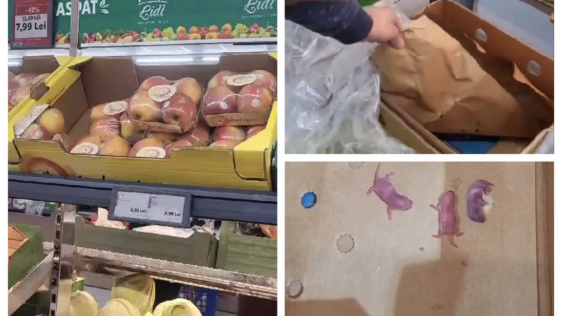 Imagini de coșmar într-un supermarket – trei pui de 