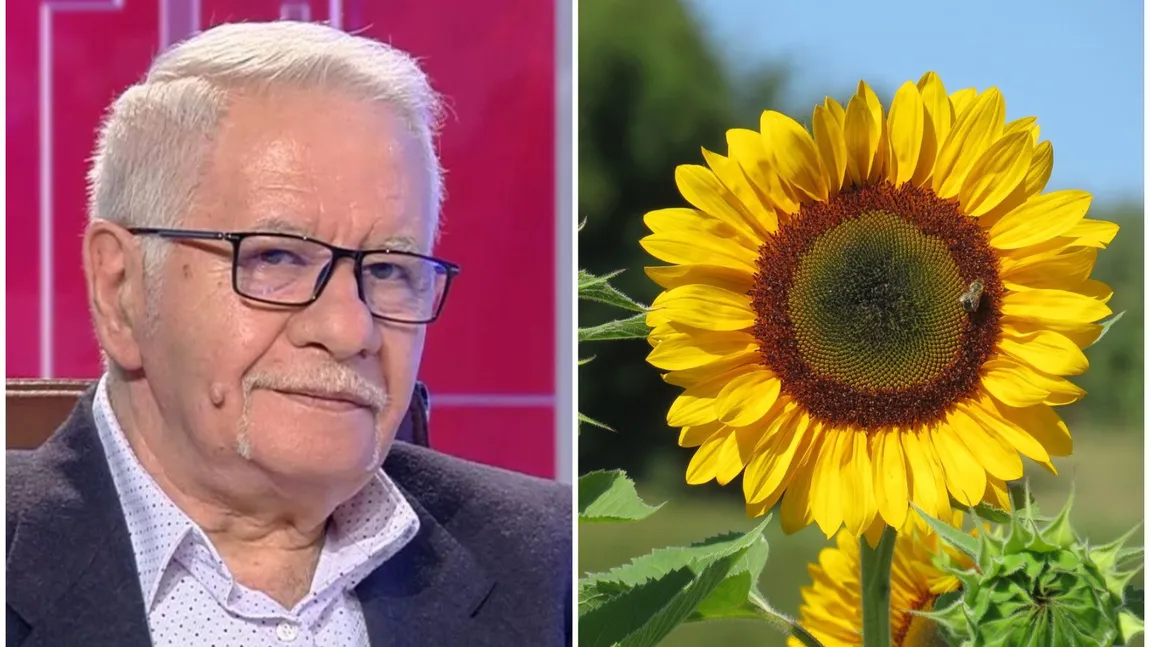 Horoscopul florilor în funcție de ziua nașterii. Mihai Voropchievici: 