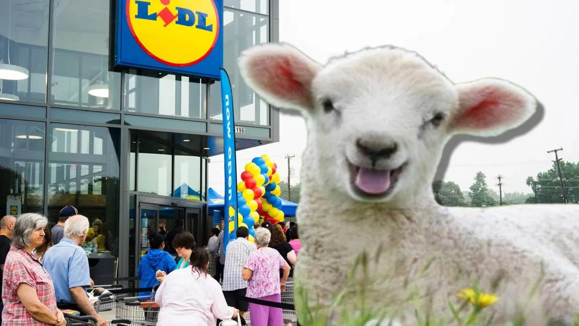 Cât costă mielul la LIDL cu o săptămână înainte de Paște. Îl poți comanda direct din aplicație