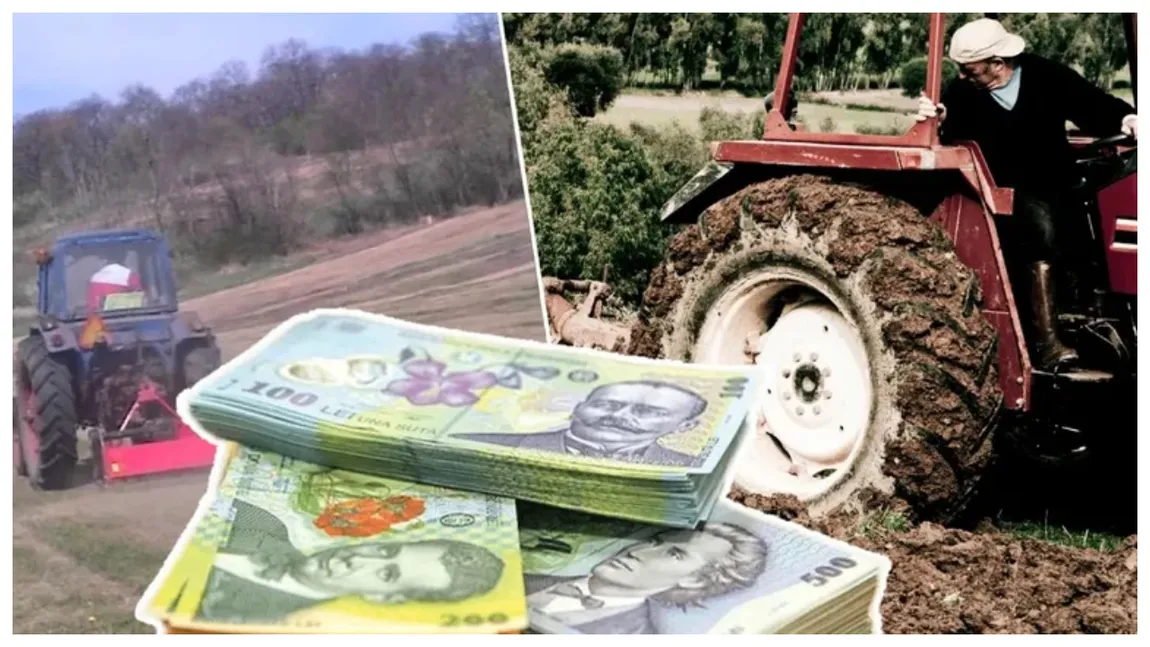 Subvenții APIA 2025. Statul oferă mii de euro pentru românii cu terenuri abandonate, direct pe card. Schema a intrat deja în vigoare