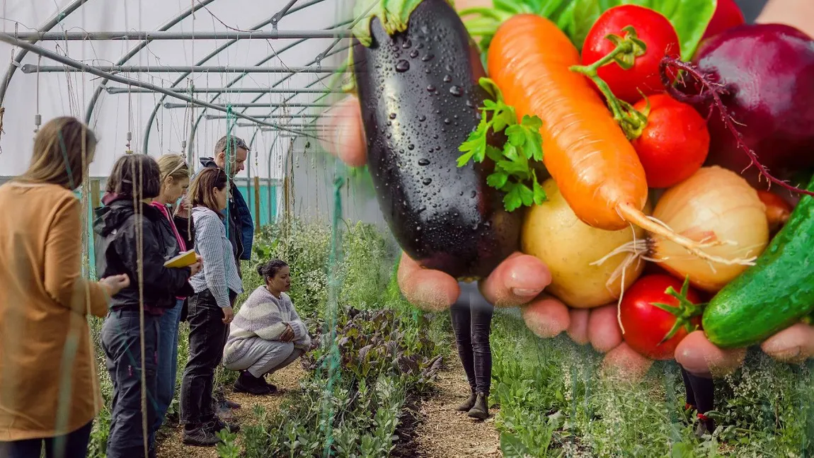 Bani de la stat pentru o anumită categorie de agricultori. Ce condiții trebuie să îndeplinească pentru a beneficia de până la 50.000 de euro