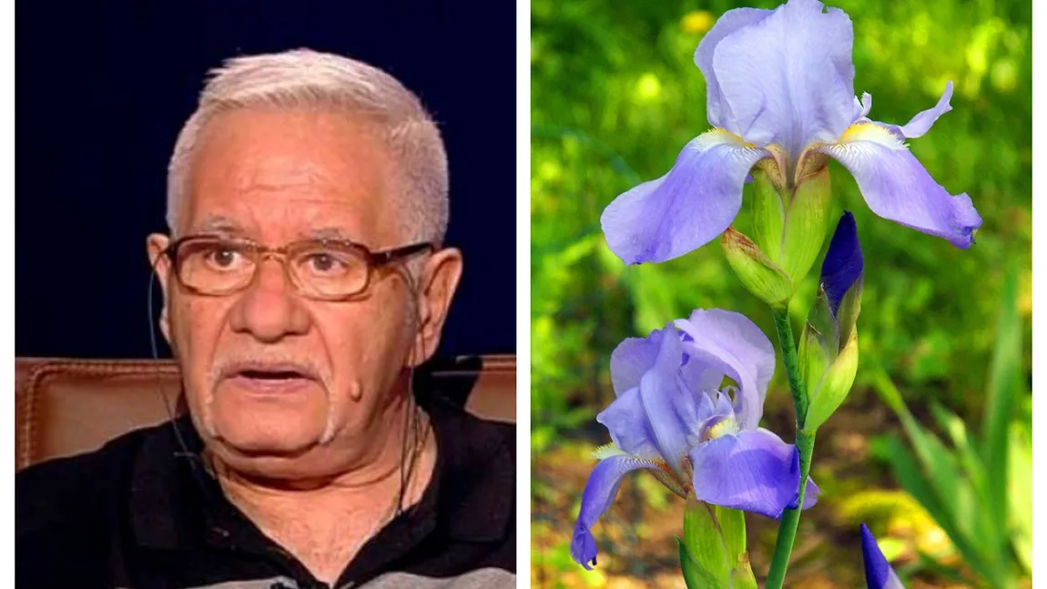Horoscopul Florilor. Mihai Voropchievici dezvăluie care e cea mai narcisistă zodie