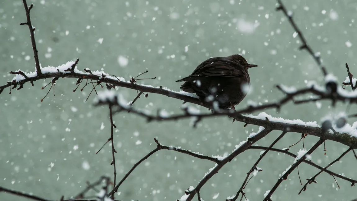 Vine vortexul polar! Avem iarnă în aprilie. Cât este valabilă atenționarea meteorologilor
