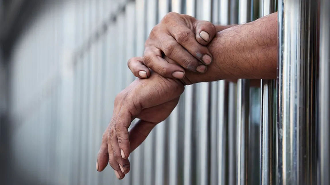 Țara cu cele mai ciudate legi de pe glob. Poți intra la închisoare dacă nu îți plimbi câinele suficient. Minciuna, considerată mai gravă decât violența fizică