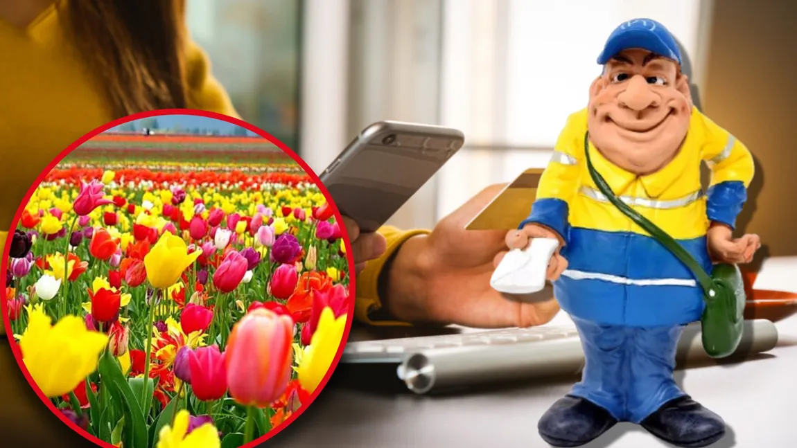 Ministerul  Muncii, anunţ de ULTIMĂ ORĂ. Când se plătesc alocaţiile, indemnizaţiile, ajutoarele sociale şi pensiile în mai 2025