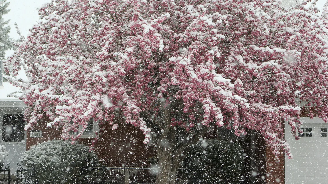 ANM a modificat prognoza meteo: Ninsorile și vremea rea continuă și miercuri, 9 aprilie