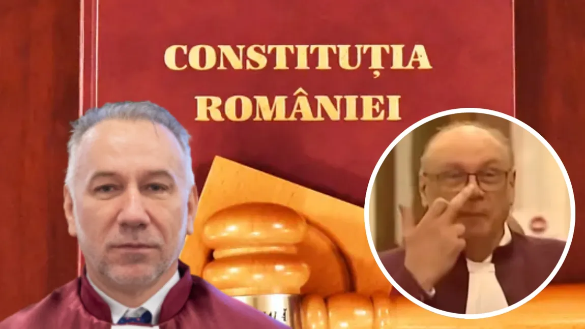 Un judecător CCR a „uitat” să treacă un teren în declarația de avere. Tot el a votat neconstituționalitatea publicării acestor declarații de către ANI