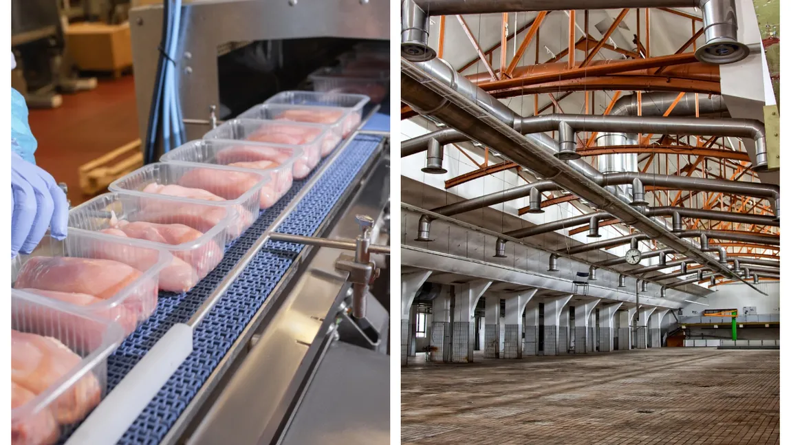Comuna din România în care s-a deschis una dintre cele mai mari fabrici de carne de pasăre din Europa. Au fost create 600 de locuri de muncă