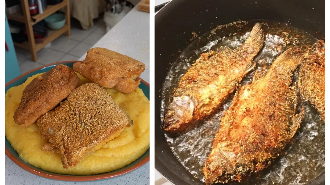 Ce să pui în mălai înainte de a prăji peștele. Ingredientul care schimbă tot