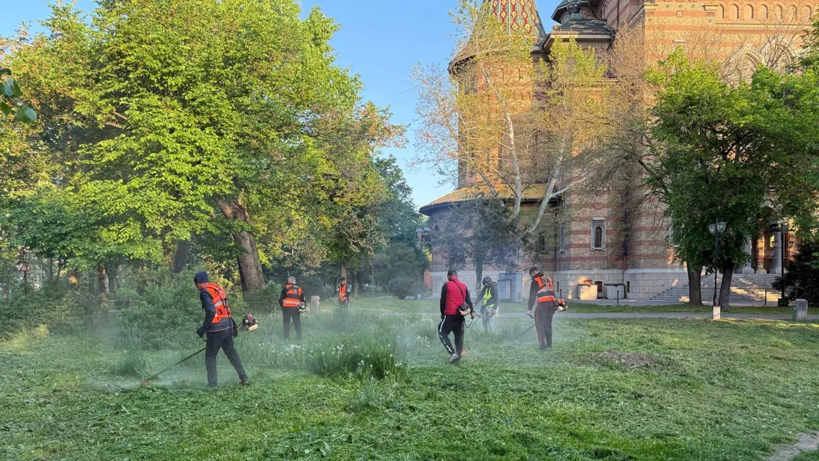 Hotărârea care a înfuriat timișorenii. Cetățenii trebuie să tundă iarba de pe domeniul public