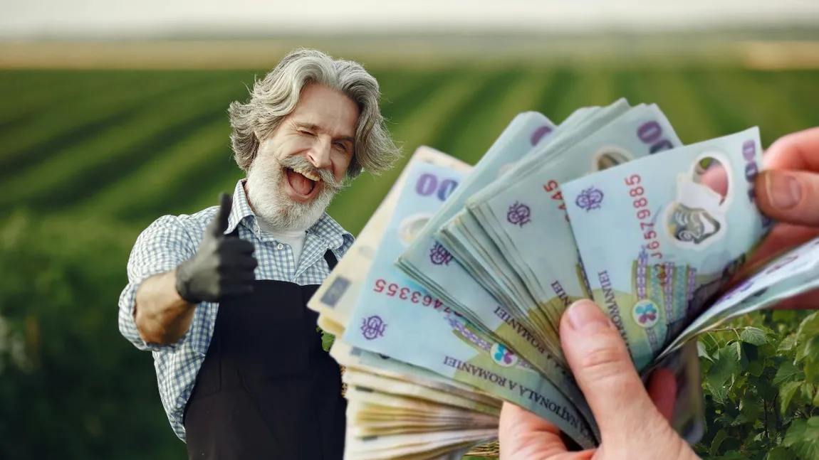 SE DAU BANI! Ce trebuie să facă, până la 13 iunie, românii care vor să primească un ajutor important de la stat