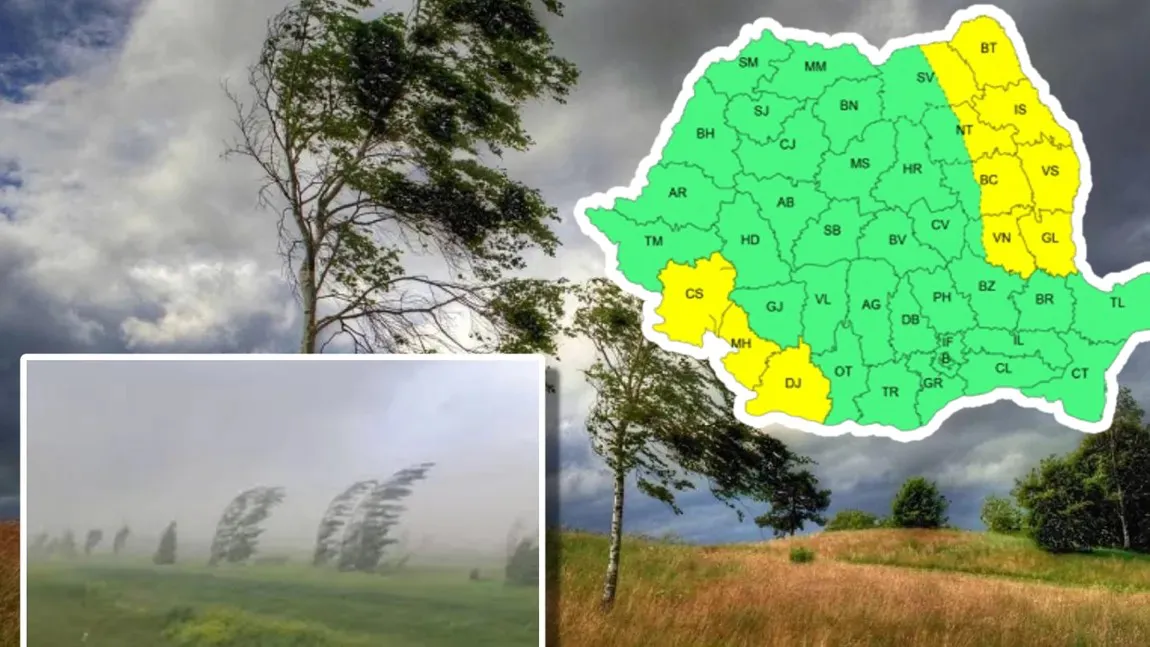 Cod galben de vânt puternic. Rafalele ajung la 70 km/h. Meteorolog Romica Jurca: 