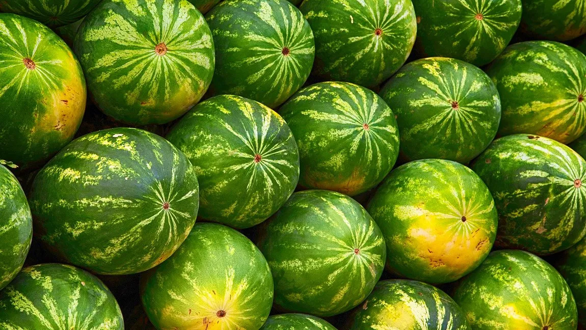 Cum alegi pepenele verde să fie perfect copt. Ce înseamnă, de fapt, pata galbenă de pe fruct
