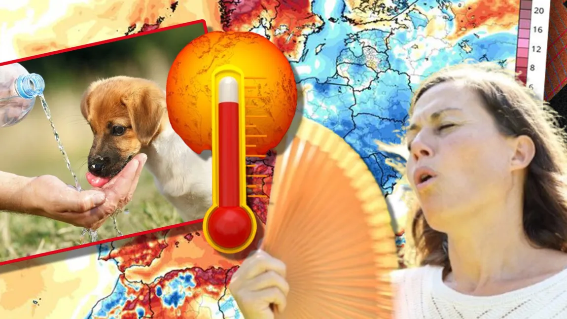 Prognoza meteo 25 iunie. Caniculă în România. Termometrele vor indica temperaturi sufocante mai ales după-amiaza