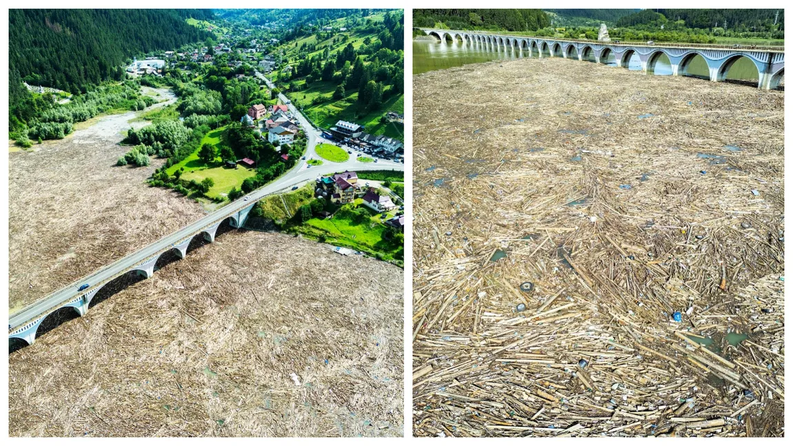 INCREDIBIL! Imaginile dezastrului fără margini. Viaductul de la Poiana Largului (Neamț) s-a transformat într-o mare de lemne și resturi venite din amonte, după dezastrul de noaptea trecută de pe râul Bistrița