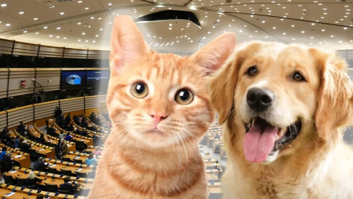 Parlamentul European, decizie istorică! Vânzarea câinilor și pisicilor în pet shop-uri va fi interzisă