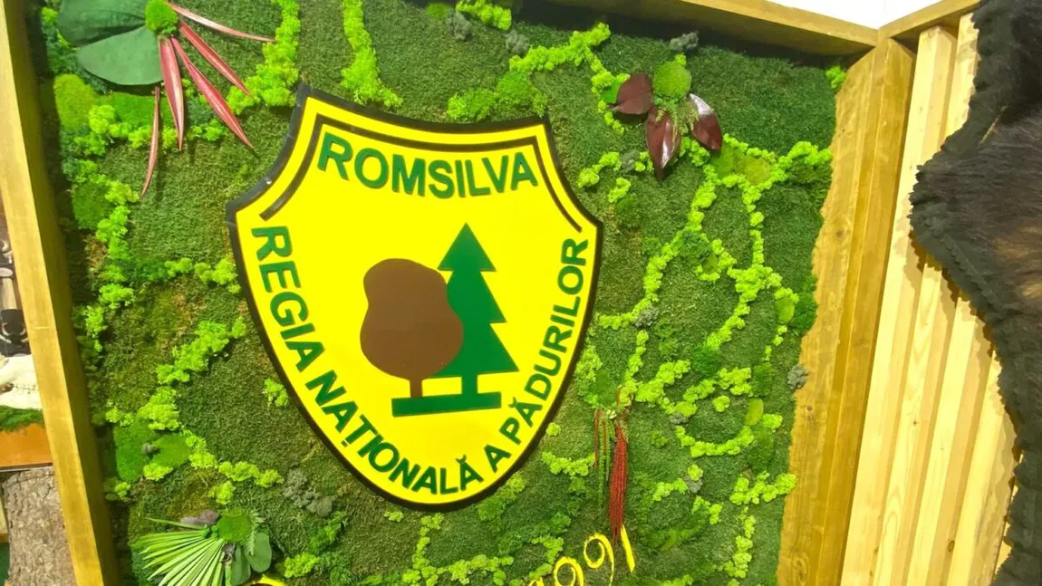 Verificările la Romsilva au scos la iveală pierderi financiare masive, prime nejustificate, fonduri speciale gestionate defectuos şi suspiciuni de corupţie. A fost sesizat Parchetul General