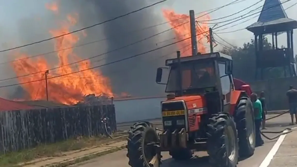 România arde la propriu. VIDEO cu incendiile de vegetaţie care s-au întins pe zeci de hectare