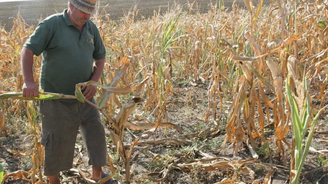PSD solicită o poziţie unitară a României pentru apărarea agriculturii naţionale: ”Hrana şi securitatea alimentară nu pot fi condiţionate!