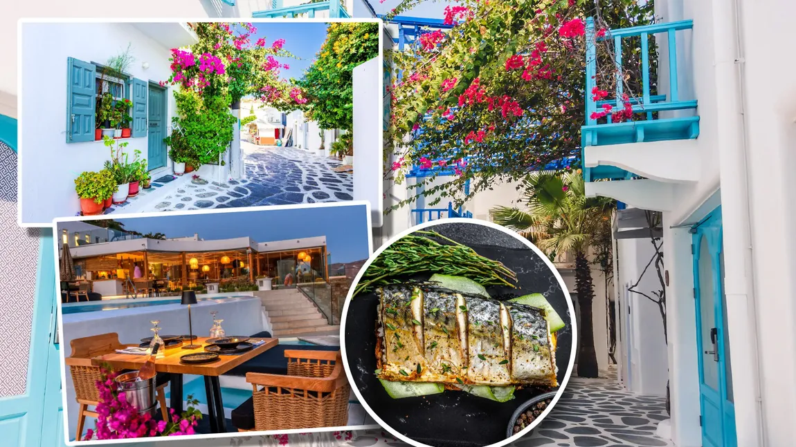 Nota de plată uriașă pe care a primit-o o turistă într-un restaurant din Mykonos. Până și condimentele sunt taxate separat
