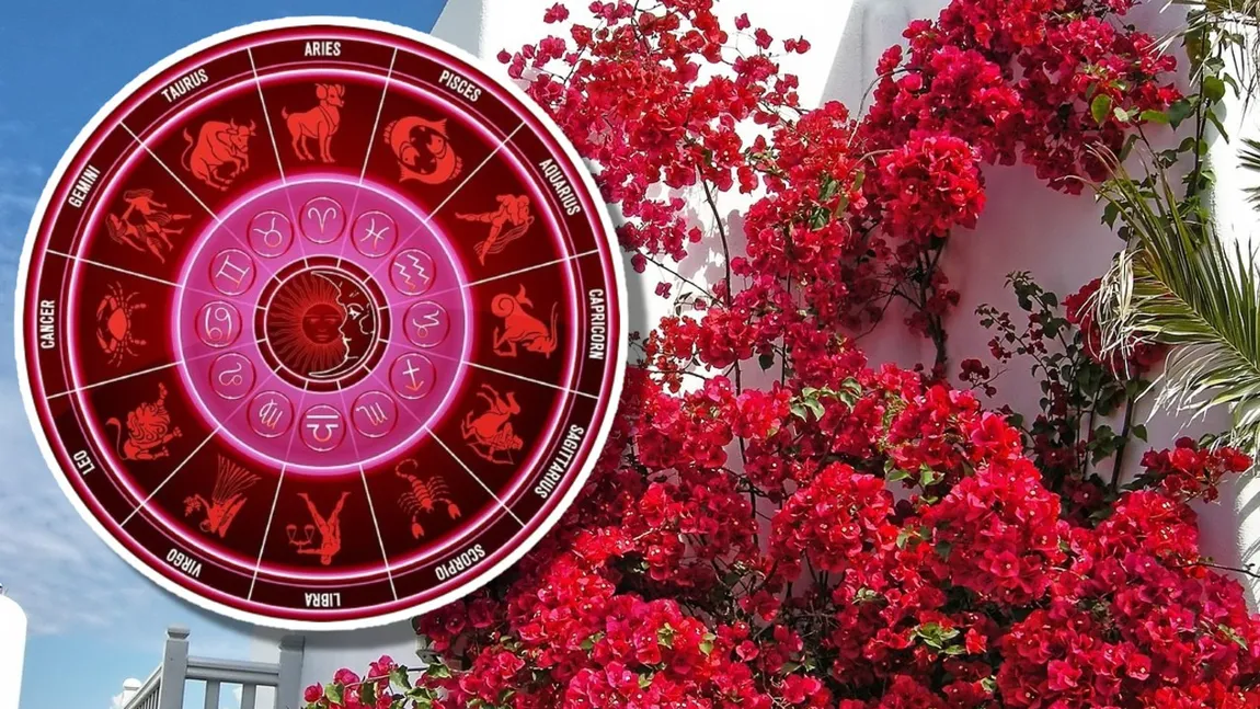 Horoscop 2 august 2025. Zodii lovite de cea mai GREA perioadă a anului. Probleme profesionale și conflicte deschise