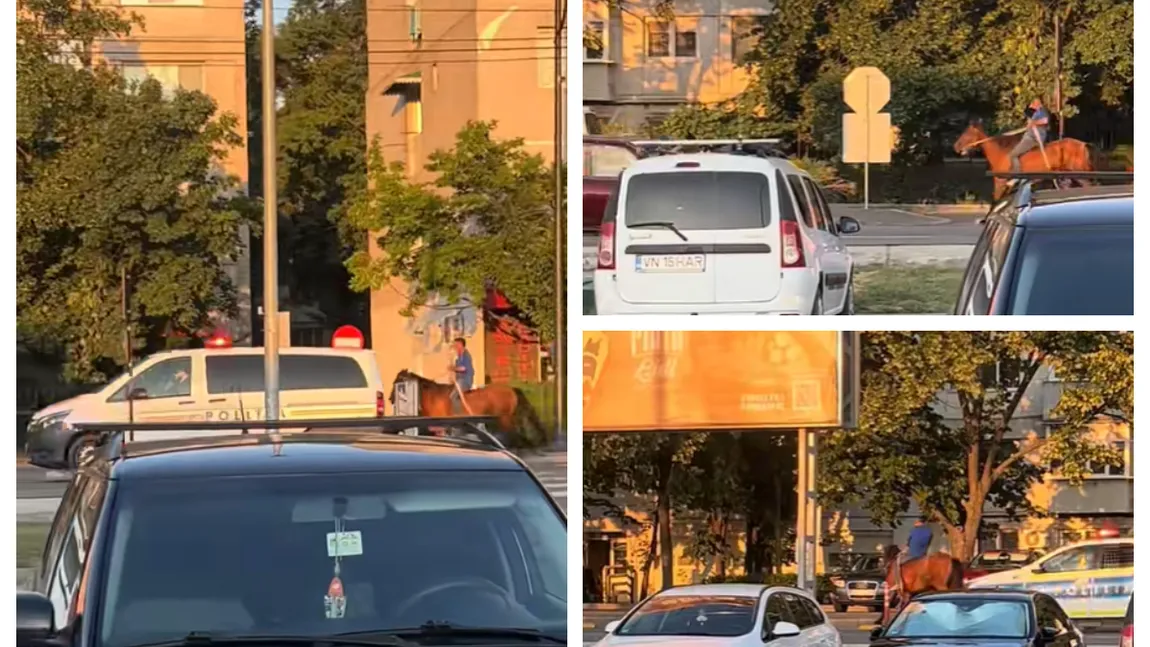 Călăreț din Focșani, urmărit de polițiști după ce a trecut cu calul pe roșu. Imagini desprinse din filmele de comedie
