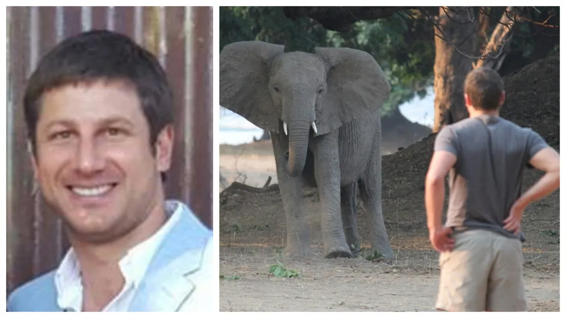 Milionar ucis de un elefant care l-a călcat în picioare! Filmul tragediei