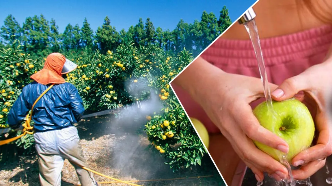 Cea mai simplă și eficientă metodă prin care poți elimina pesticidele de pe fructe și legume. Nu implică nici bicarbonat, nici oțet
