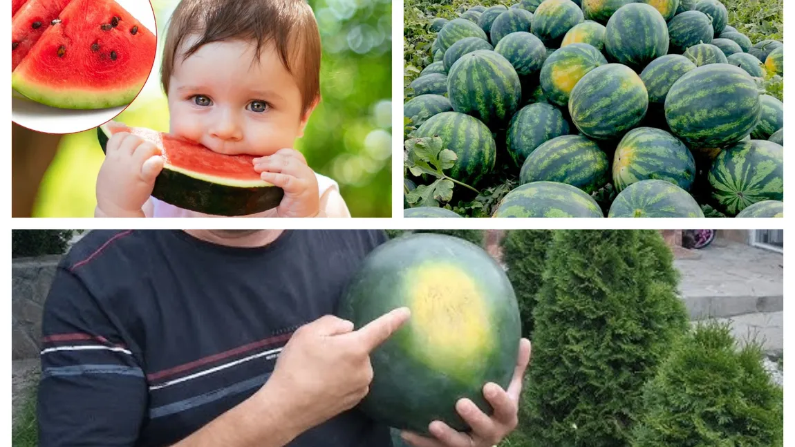 Atenţie la pepenele cu pată albă! Nutriţioniştii te sfătuiesc să alegi cele mai hidratante fructe ale verii. FOTO şi VIDEO