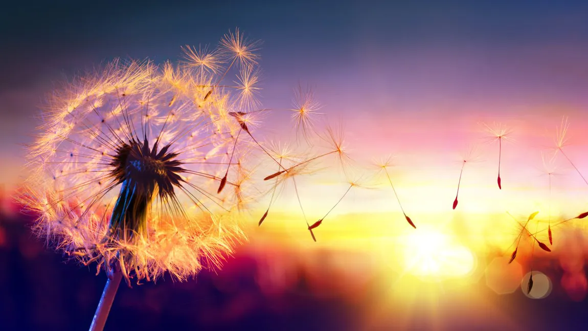 Zodiile care au șanse mari să își schimbe viața până la finalul lunii iulie 2025. Cum le influențează Mercur și Saturn retrograde