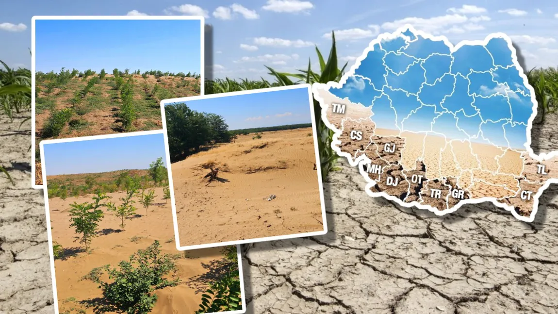 EXCLUSIV Deșertul România! Peste 30% din suprafața agricolă a țării este deja afectată de aridizare sau deșertificare! De ce în 20 de ani căldura va lovi devastator economia țării și de ce nimeni nu prevede asta! România a pierdut aproape 100.000 de hectare de sol fertil din cauze naturale!