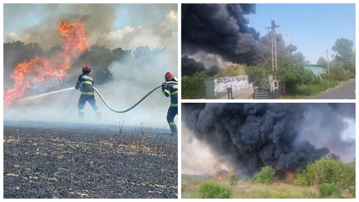 Incendii de amploare în județele Giurgiu, Mehedinți și Tulcea. Pompierii luptă cu flăcările pe cod roșu de caniculă