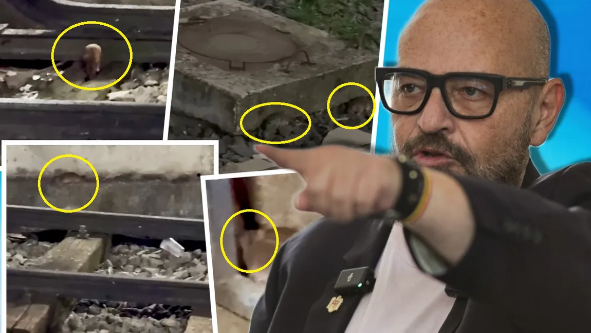Piedone cere demisia unor șefi din CFR după ce a constatat că în Gara de Nord colcăie șobolanii: 