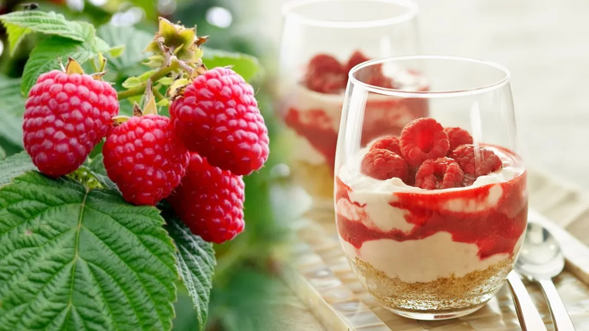 Cheesecake cu zmeură la pahar, fără coacere. Cel mai simplu desert pe care îl poți prepara în zilele călduroase de vară